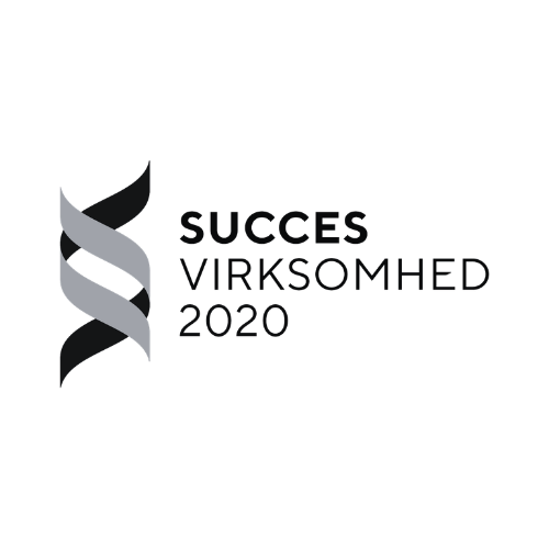 Succesvirksomhed 2020